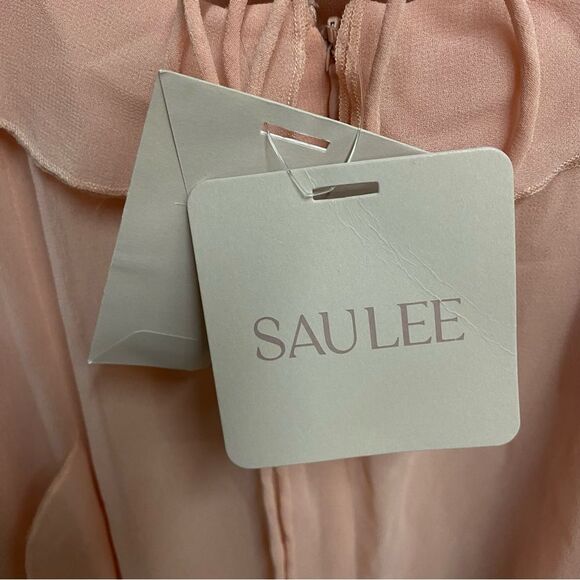 Sau Lee Fiona Dress Baby Pink Ruffle Maxi chiffon gown wedding prom Revolve 4 - Picture 9 of 12